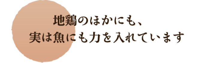 地鶏のほかにも、実は魚にも力を入れています